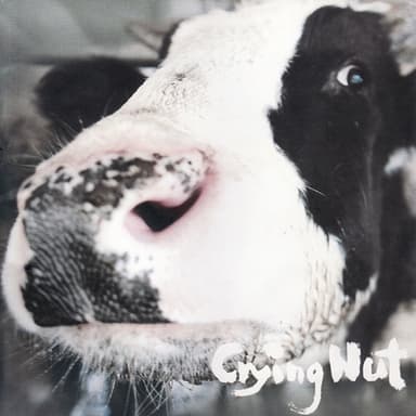 룩셈부르크 by 크라잉넛