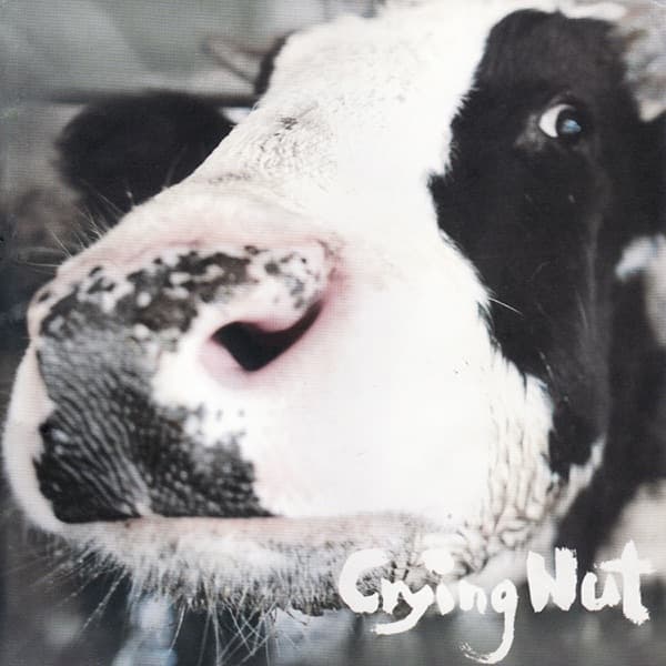 룩셈부르크 by 크라잉넛