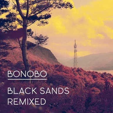 101 by Bonobo