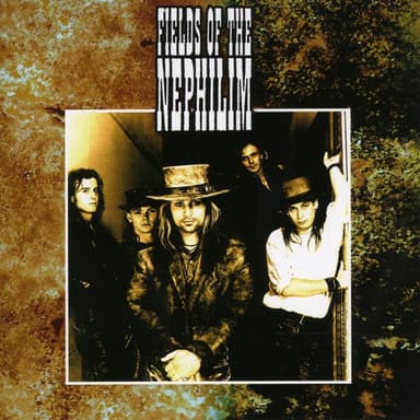 Psychonaut by Fields of the Nephilim