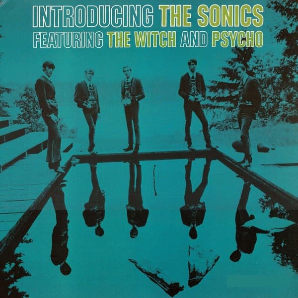 Like No Other Man by The Sonics
