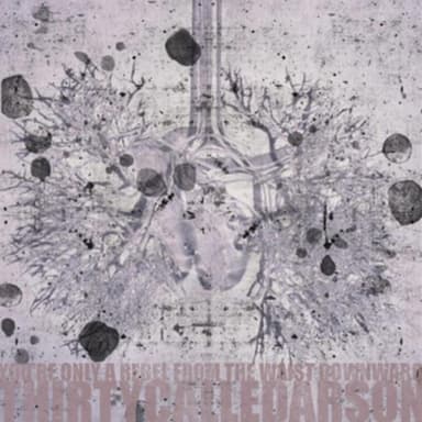 Dreaming from the Waist by The Who