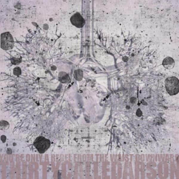 Dreaming from the Waist by The Who