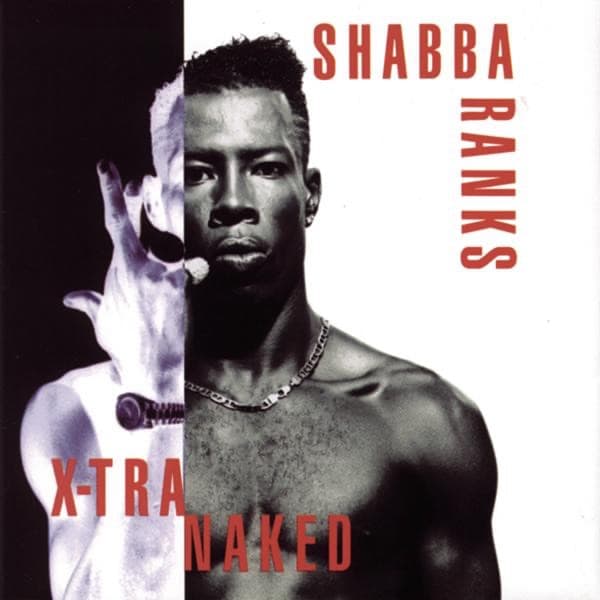 Ting-a-Ling by Shabba Ranks