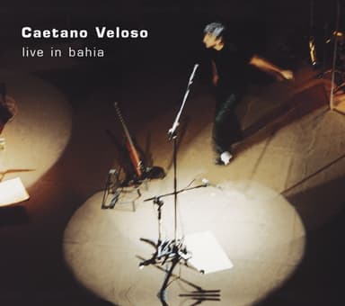 Sugar Cane Fields Forever by Caetano Veloso