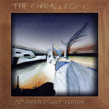 Up the Down Escalator by The Chameleons