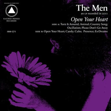 Open Your Heart by The Men