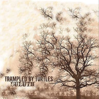 Duluth by Trampled By Turtles