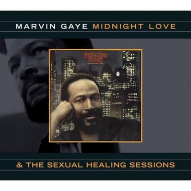 Midnight Lady by Marvin Gaye