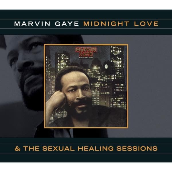Midnight Lady by Marvin Gaye