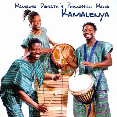 Tunga by Mamadou Diabaté