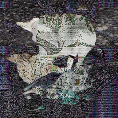 On GP by Death Grips