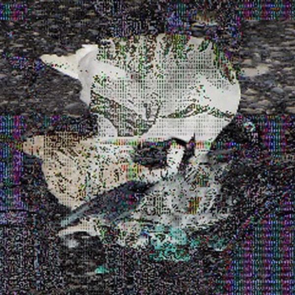 On GP by Death Grips