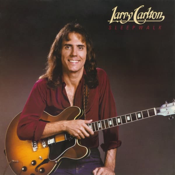 Sleepwalk by Larry Carlton