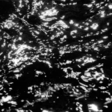 Dream Loss by Grouper