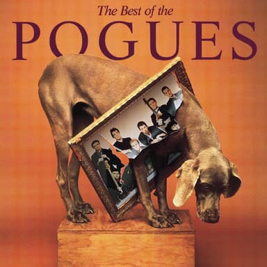 The Broad Majestic Shannon by The Pogues