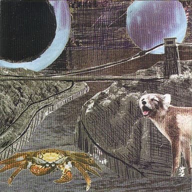 Come See the Duck by Deerhoof