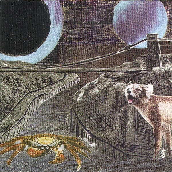 Come See the Duck by Deerhoof